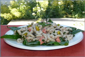cold pasta salad with salmon