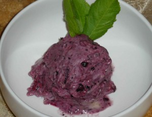 Blueberry Yonanas ice cream dairy free dessert