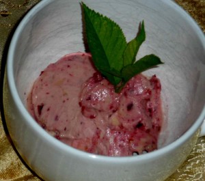 Mixed Berry Yonanas ice cream non dairy dessert