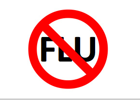 avoid getting the flu