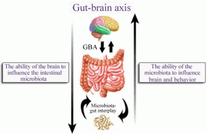 Gut-brain-microbiome